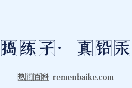 捣练子·真铅汞是什么意思的图片
